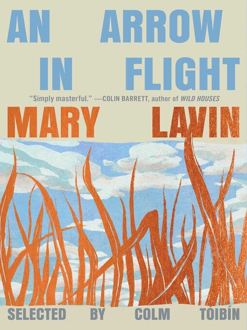 Cover image for An Arrow in Flight